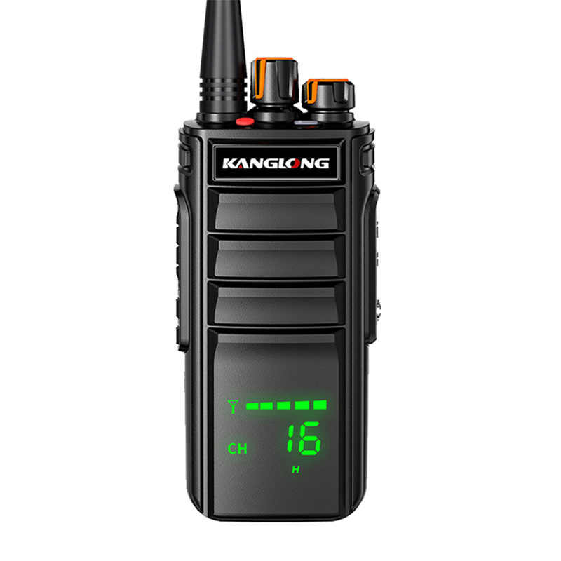 Radio analogique P860